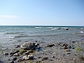 Western Michigan [2010] 797